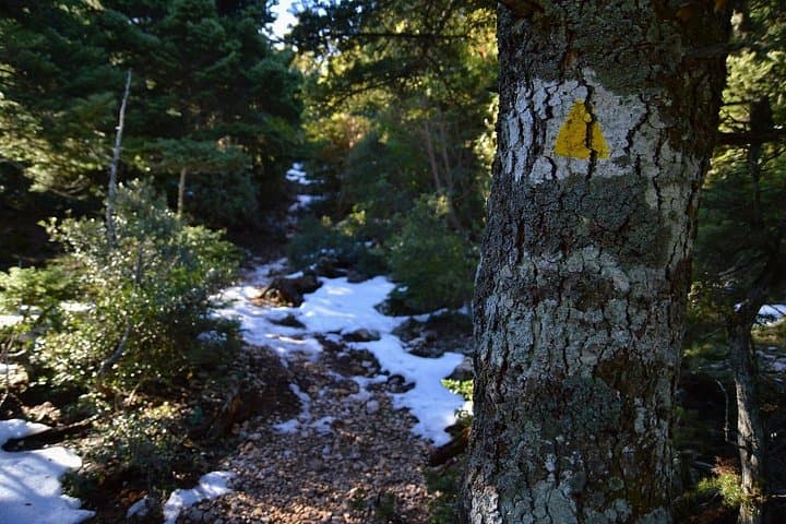 Day Hikes on Mount Parnitha: Flambouri Refuge Trails Near Athens photo 3
