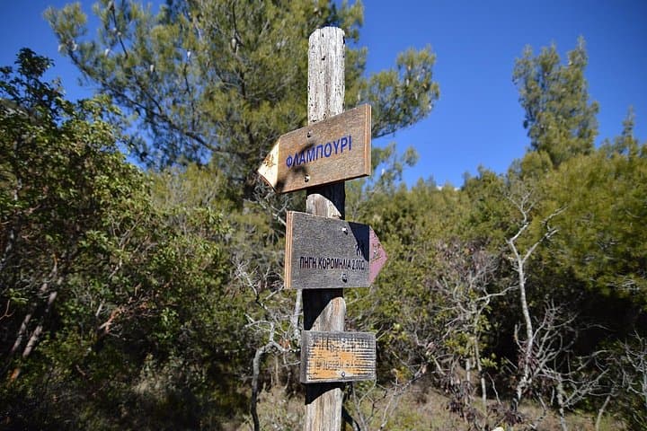 Day Hikes on Mount Parnitha: Flambouri Refuge Trails Near Athens photo 4