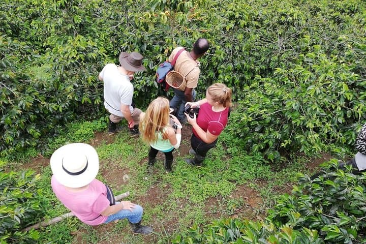Horseback Coffee & Viewpoints at Las Acacias — Salento Farm Tour photo 3
