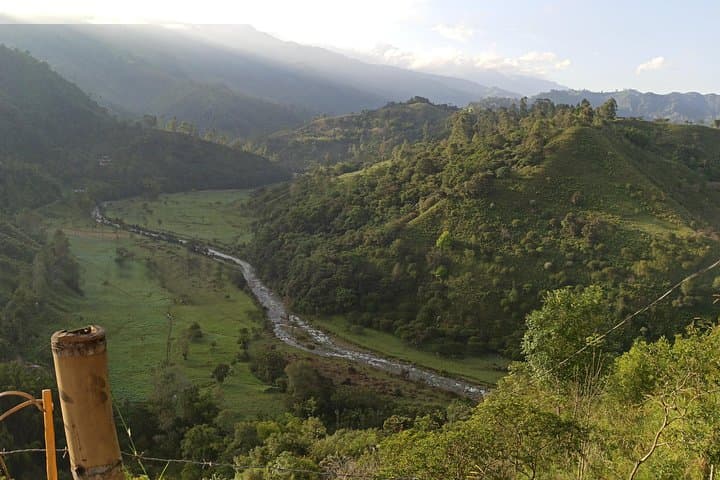 Horseback Coffee & Viewpoints at Las Acacias — Salento Farm Tour photo 4
