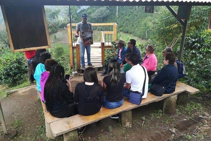 Horseback Coffee & Viewpoints at Las Acacias — Salento Farm Tour photo 5