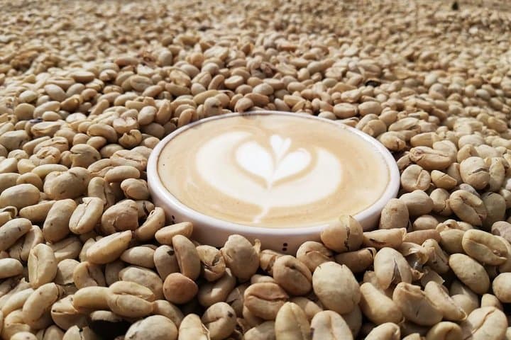 Horseback Coffee & Viewpoints at Las Acacias — Salento Farm Tour photo 6