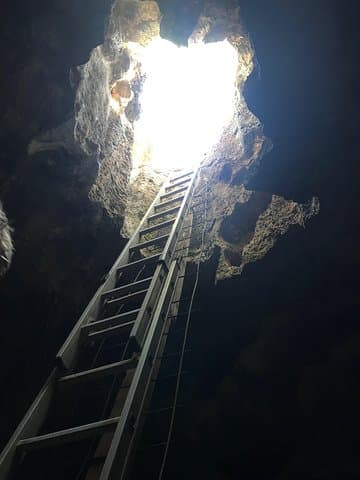 Bonaire Native-Guided Cave Tour: Explore Limestone Caves & Low Cliff Jumping