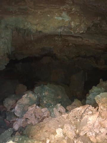 Bonaire Native-Guided Cave Tour: Explore Limestone Caves & Low Cliff Jumping photo 3
