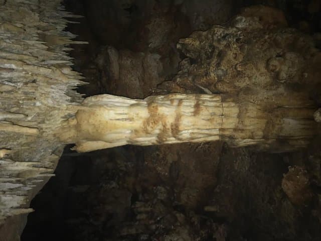 Bonaire Native-Guided Cave Tour: Explore Limestone Caves & Low Cliff Jumping photo 4