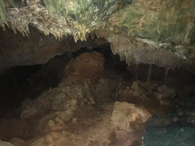 Bonaire Native-Guided Cave Tour: Explore Limestone Caves & Low Cliff Jumping photo 5