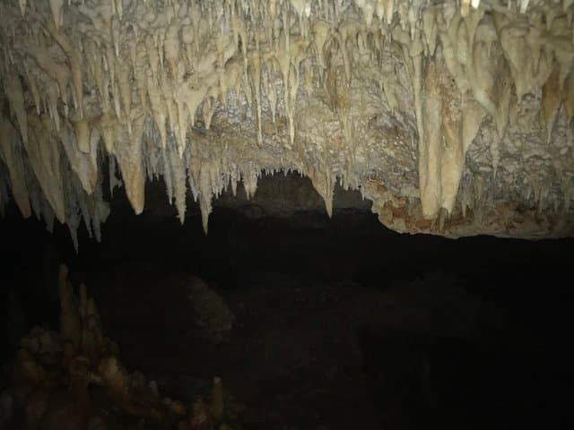 Bonaire Native-Guided Cave Tour: Explore Limestone Caves & Low Cliff Jumping photo 6