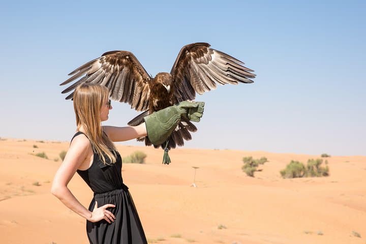 Dubai Evening Desert Safari: ATV Quad Bike, Dune Bashing & BBQ Dinner photo 4