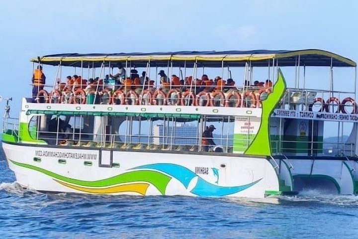 Mirissa Blue Whale & Dolphin Luxury Cruise — Mirissa Whale Watching Experience photo 3