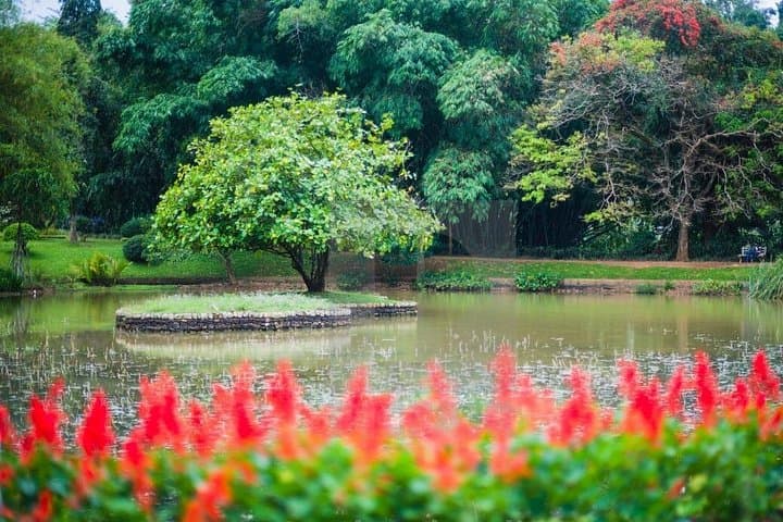 Kandy & Peradeniya Day Tour from Colombo — Last Kingdom of Sri Lanka photo 3