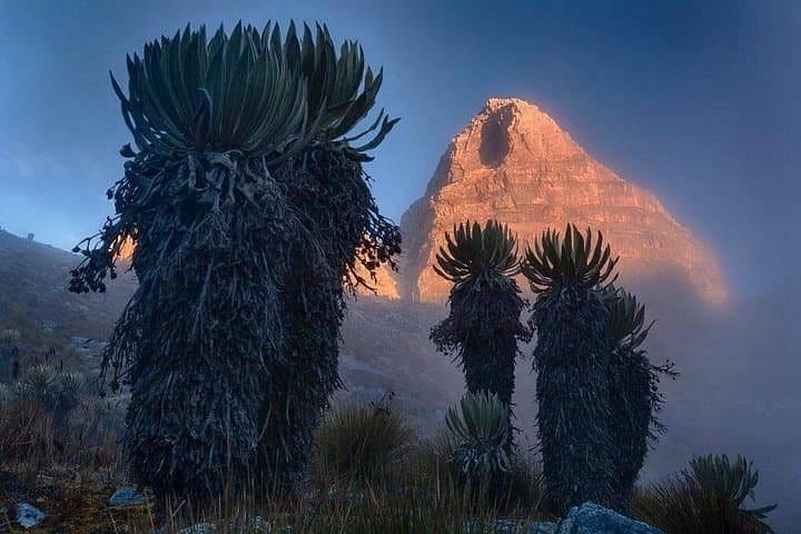 Sierra Nevada del Cocuy: High‑Mountain Trekking to the Tropical Glaciers photo 2