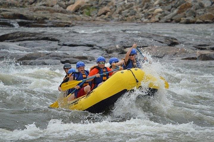 Ayung River Whitewater Rafting: Family-Friendly Rapids Near Ubud photo 6