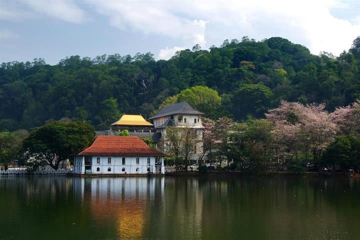 Kandy Day Tour from Colombo: Temple, Gardens & Tea Hills photo 2
