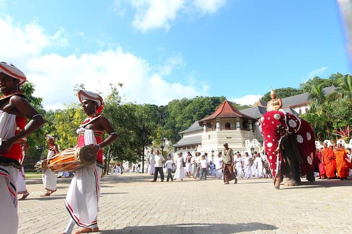 Kandy Day Tour from Colombo: Temple, Gardens & Tea Hills photo 4