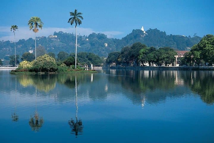 Kandy Day Tour from Colombo: Temple, Gardens & Tea Hills photo 6