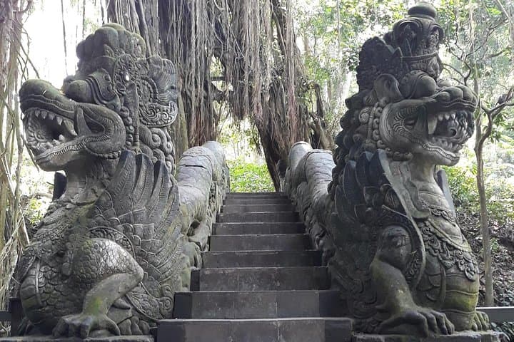 Ubud Customized Private Tour – Waterfalls, Rice Fields & Kintamani Sunset photo 5