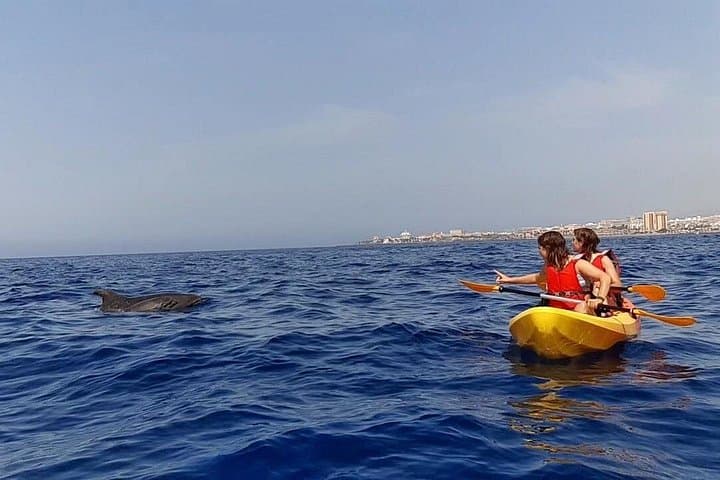 Guaza Kayak Safari: Dolphins, Turtles & Palmar Cave from Los Cristianos photo 1