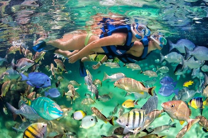 Punta Cana Party Catamaran: Snorkel, Natural Pools & Open Bar photo 3