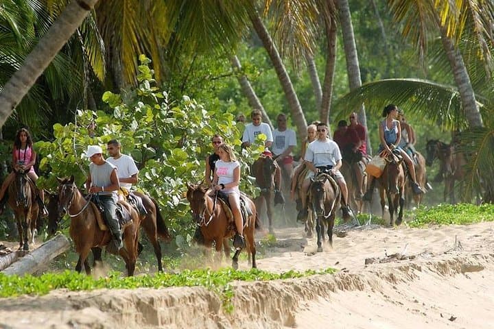 Punta Cana to Samaná: El Limón Waterfall & Bacardí Island Day Trip photo 3
