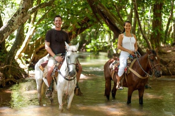 Samana Bay Full-Day Eco Trip from Punta Cana: Catamaran, El Limón Falls & Cayo Levantado photo 5