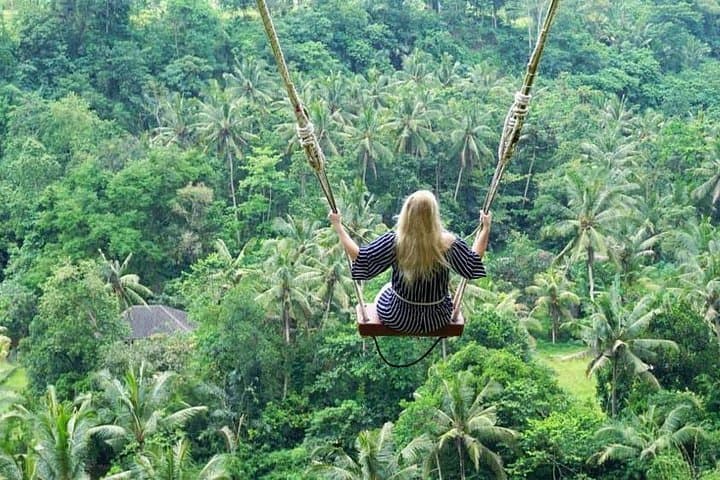 Custom Full-Day Bali Private Tours: Build Your Own Itinerary photo 5