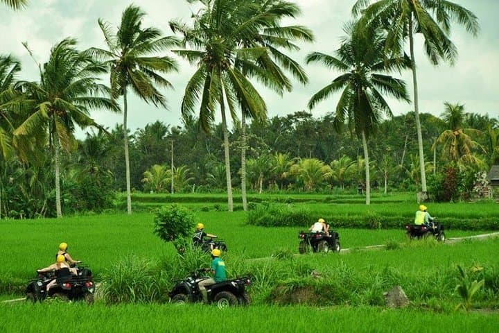 Ubud ATV Adventure: 2-Hour Quad Ride Through Rice Terraces and Jungle photo 3