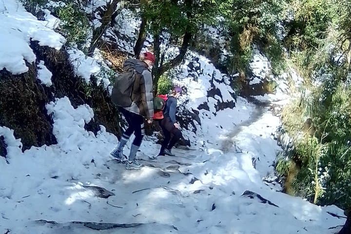 Poon Hill & Ghandruk Circuit: 6-Day Annapurna Trek from Kathmandu