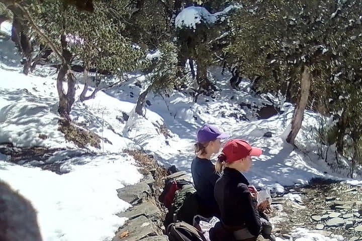 Poon Hill & Ghandruk Circuit: 6-Day Annapurna Trek from Kathmandu photo 2
