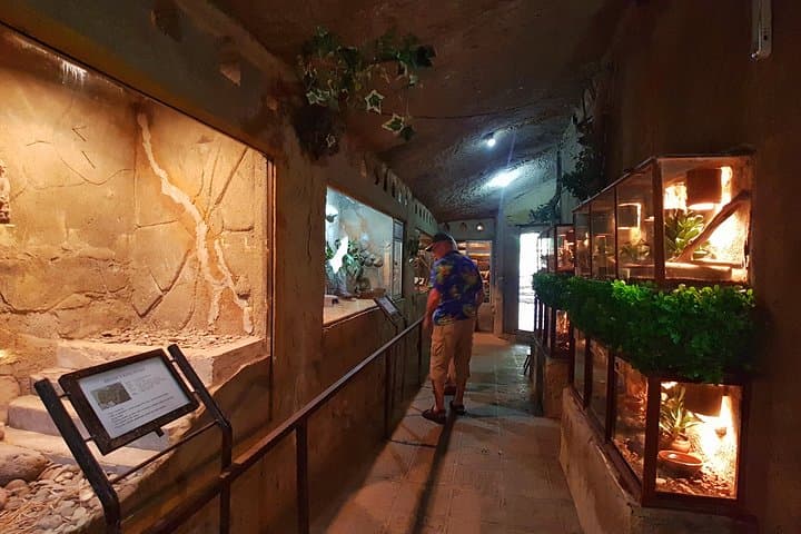 Inside Bali Reptile Park: Encounters, Shows, and Practical Tips photo 6