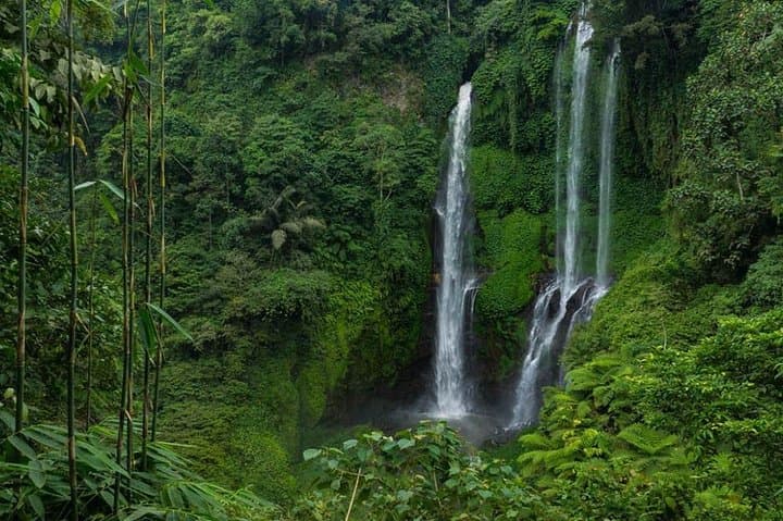 Sekumpul Waterfall Trek: A Day Hike Through North Bali’s Seven Falls