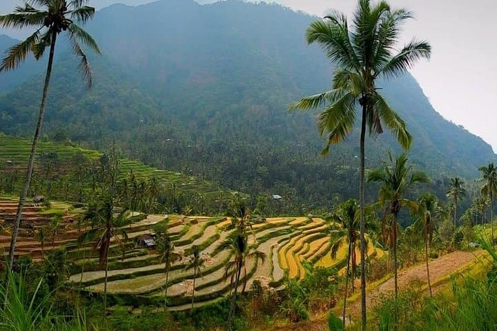 Sekumpul Waterfall Trek: A Day Hike Through North Bali’s Seven Falls photo 3