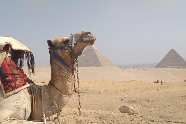 Cairo Stopover: Giza Pyramids, Egyptian Museum & Camel Ride in One Day photo 4