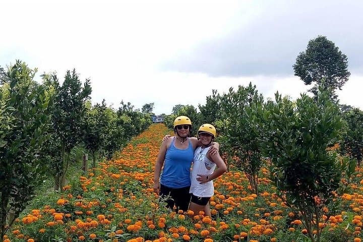 Kintamani to Ubud Cycling Tour — Downhill Ride with Mount Batur Views photo 4