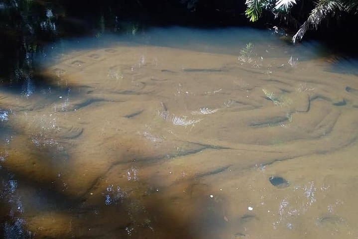 Phnom Kulen Waterfall & Banteay Srei Day Trip: River of a Thousand Lingas photo 2