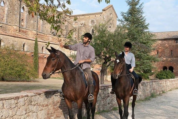 Horseback Trails of Maremma: Multi-Day Riding in Tuscany for Beginners & Experienced Riders photo 1