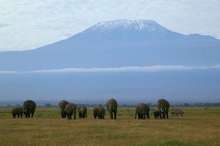 Facing Kilimanjaro: 2-Day All-Inclusive Amboseli Safari photo 6