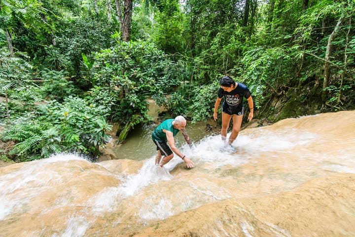 Climb Bua Tong Sticky Waterfall: A Unique Limestone Adventure Near Chiang Mai photo 1