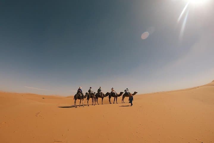 3-Day Desert Circuit from Marrakech to Merzouga via Fez: Kasbahs, Gorges & Camel Camp photo 4