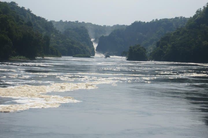3-Day Murchison Falls Big-5 Safari — Giraffe Paradise & Ziwa Rhino Trek