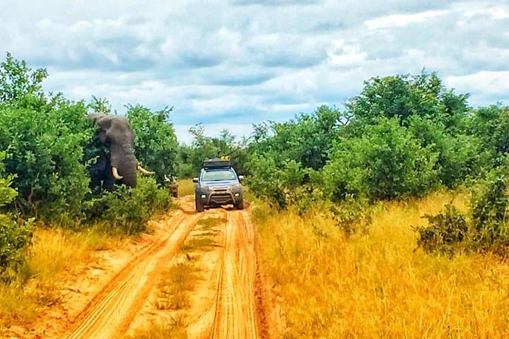 Luxury Okavango Delta: 5-Day Boteti & Moremi Safari photo 6