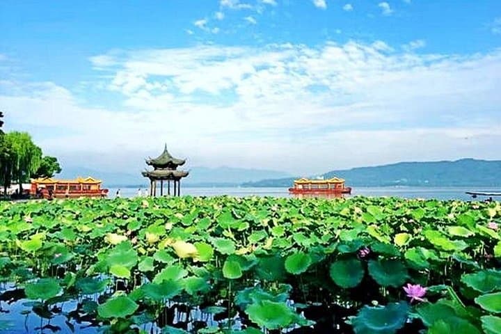 Half-Day Hangzhou Private Tour: West Lake, Longjing Tea & Lingyin with VIP Night Show photo 1