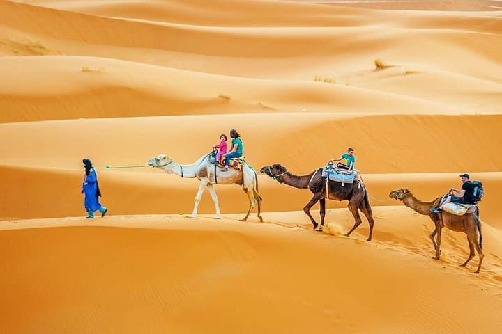 3-Day Desert Circuit from Marrakech to Merzouga via Fez: Kasbahs, Gorges & Camel Camp photo 2