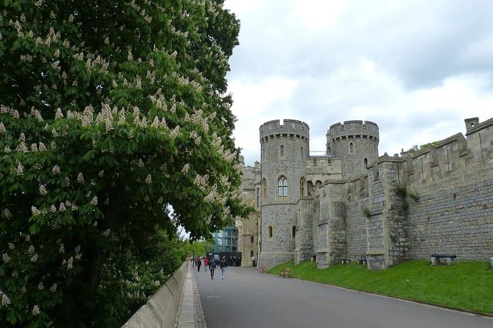 Windsor Layover Private Tour from LHR: Executive Windsor Castle & Runnymede in 5 Hours photo 6