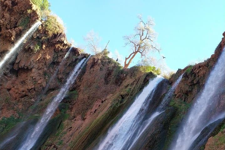 Ouzoud Waterfalls Day Trip from Marrakech: Olive Groves, Monkeys and Multi-Tiered Cascades photo 4