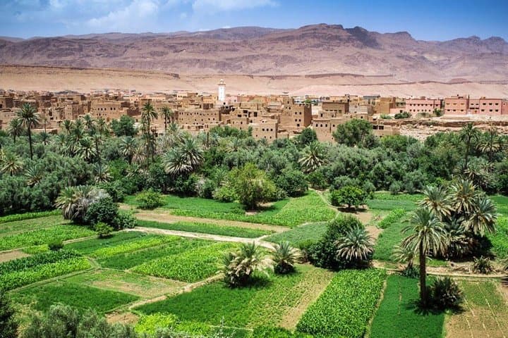 2-Day Merzouga Desert Tour from Marrakech — Camel Trek & Sahara Camp photo 3