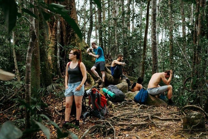 One-Day Bukit Lawang Orangutan Trek from Medan — Gunung Leuser Jungle Adventure photo 3