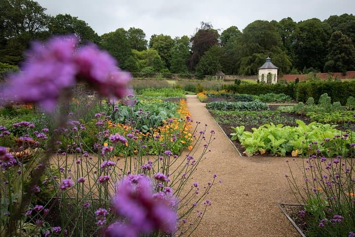 Hillsborough Castle Gardens: Ticketed Walk Through Royal Walled Gardens photo 6