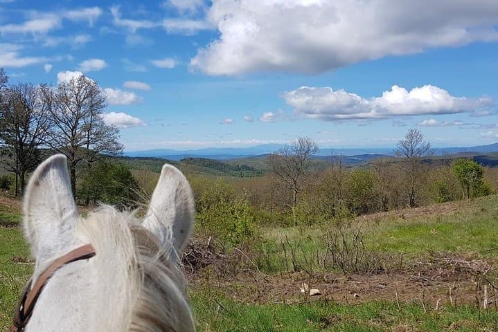 7-Day Horseback Riding Holiday in Tuscany's Maremma photo 2