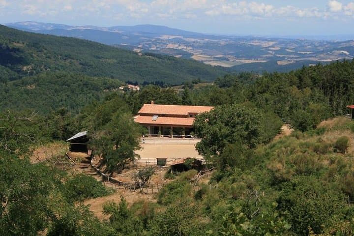 7-Day Horseback Riding Holiday in Tuscany's Maremma photo 3