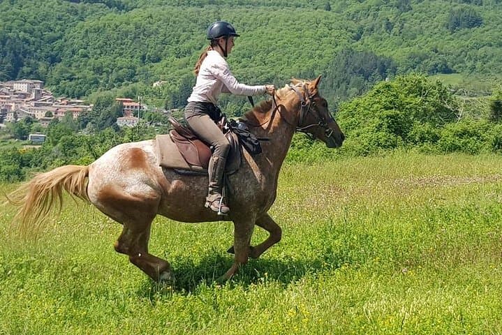 7-Day Horseback Riding Holiday in Tuscany's Maremma photo 4